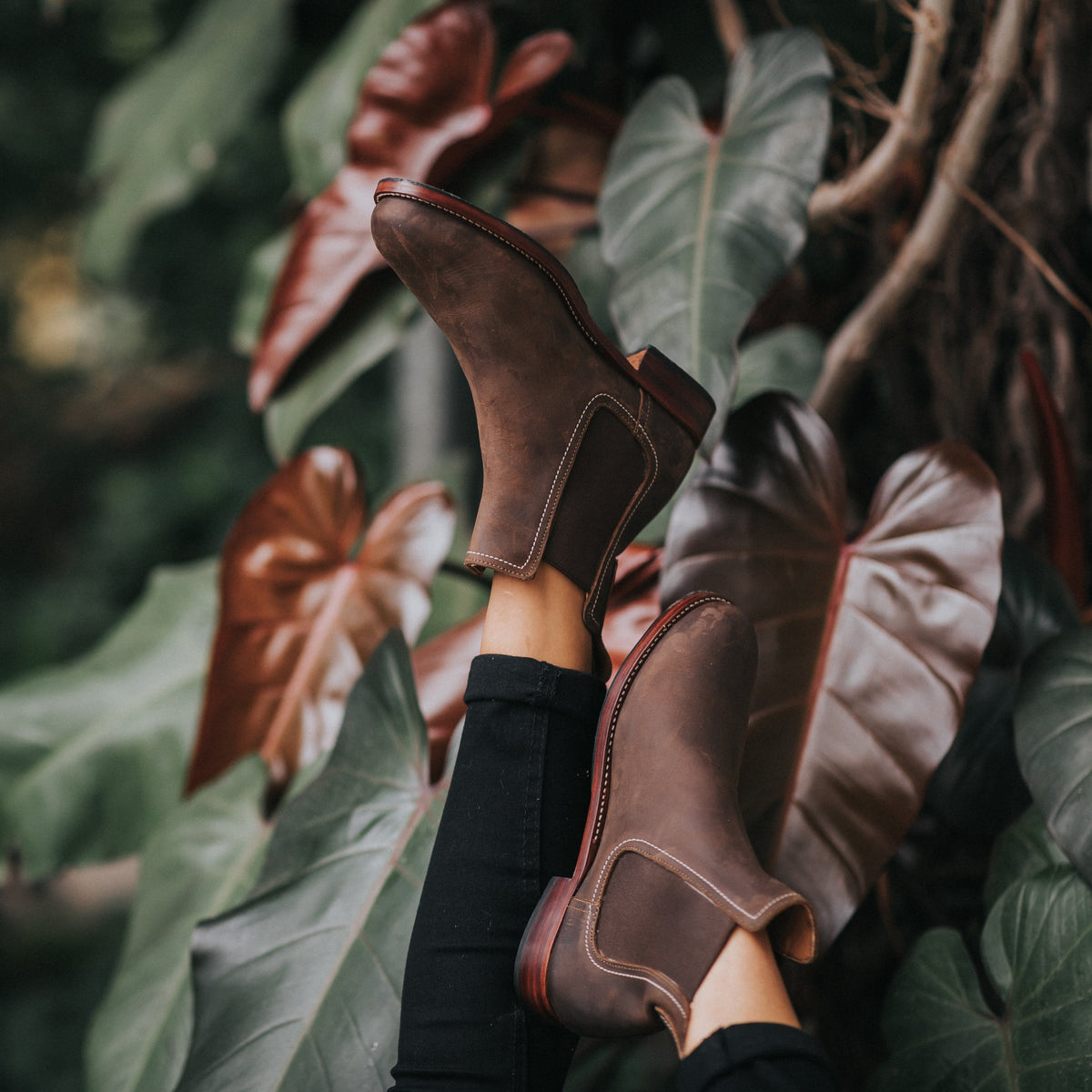 Adelante women's brown Chelsea boots with contrast stitching styled among tropical leaves