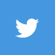 Twitter Icon